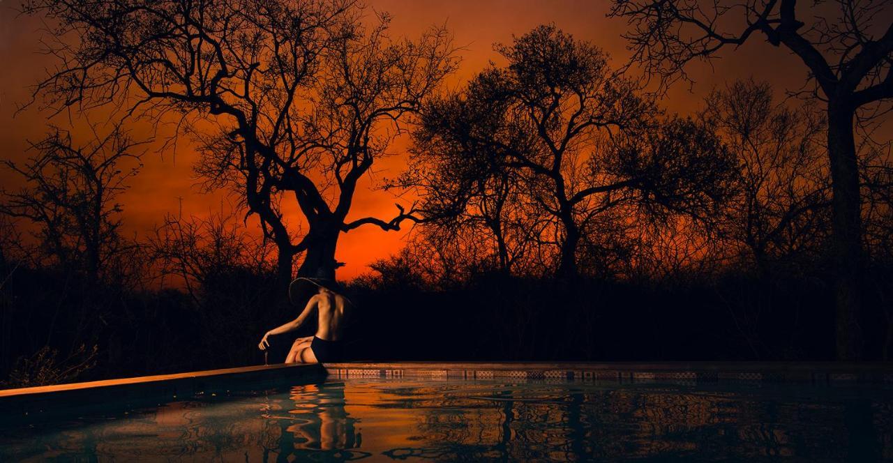 Safari Moon Luxury Bush Lodge Ходспруит Екстериор снимка